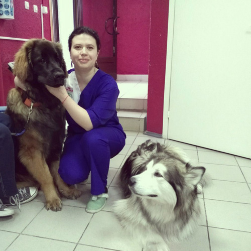 Ветеринарная клиника фото 1