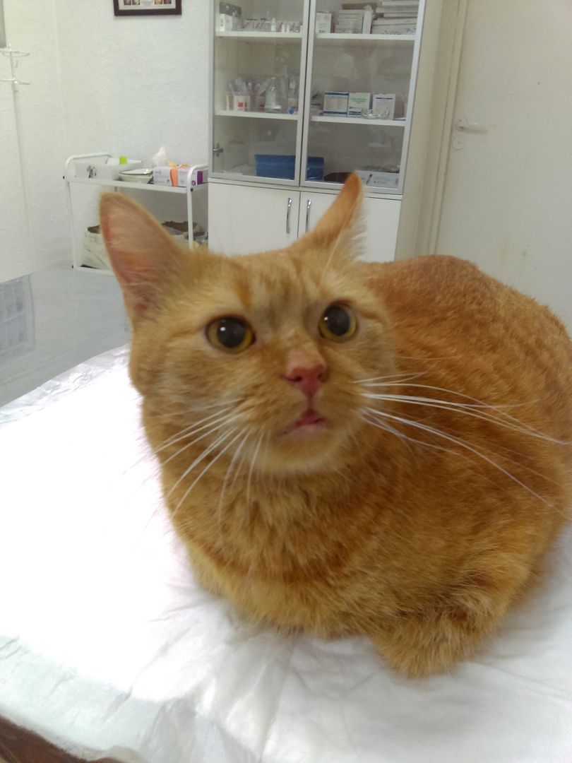 Пациент клиники 2